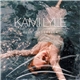 Kami Lyle - Blue Cinderella